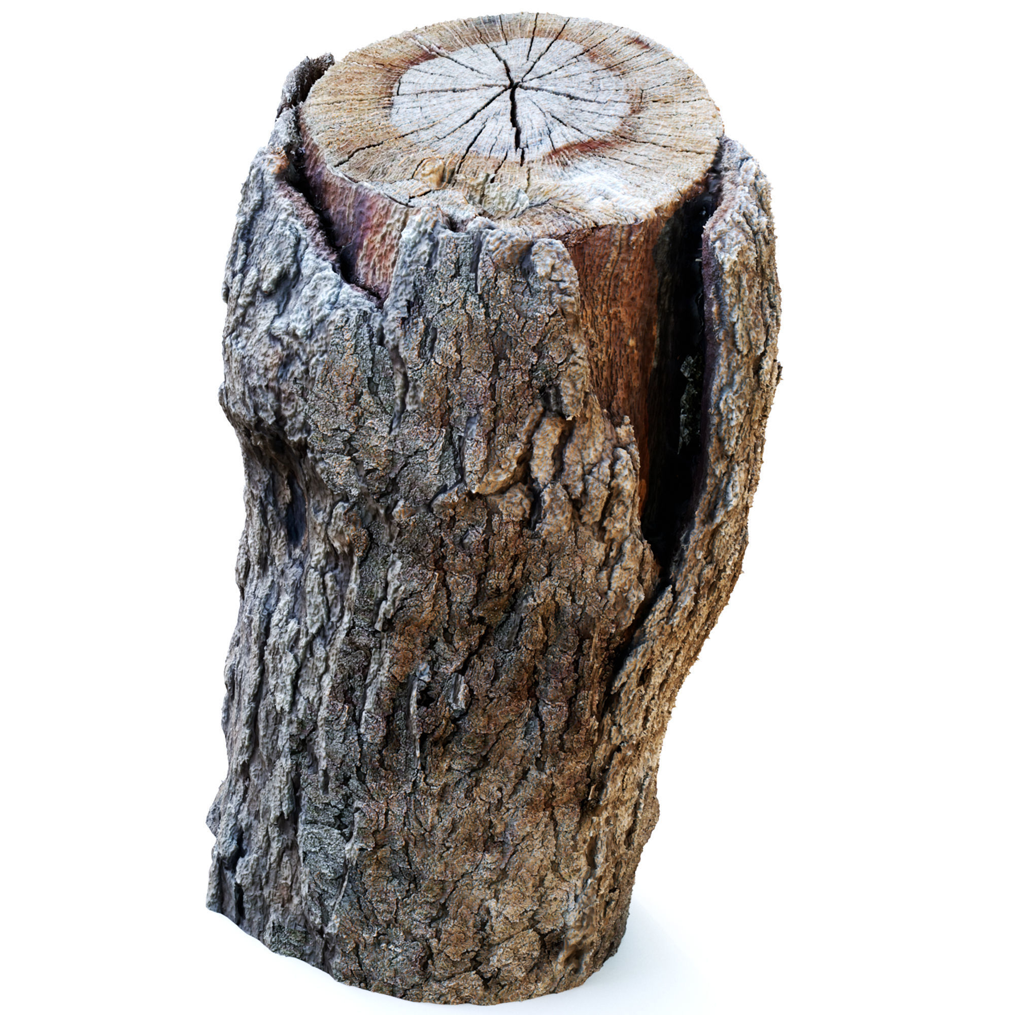 Tree Stump Pack 3 3D model CGTrader