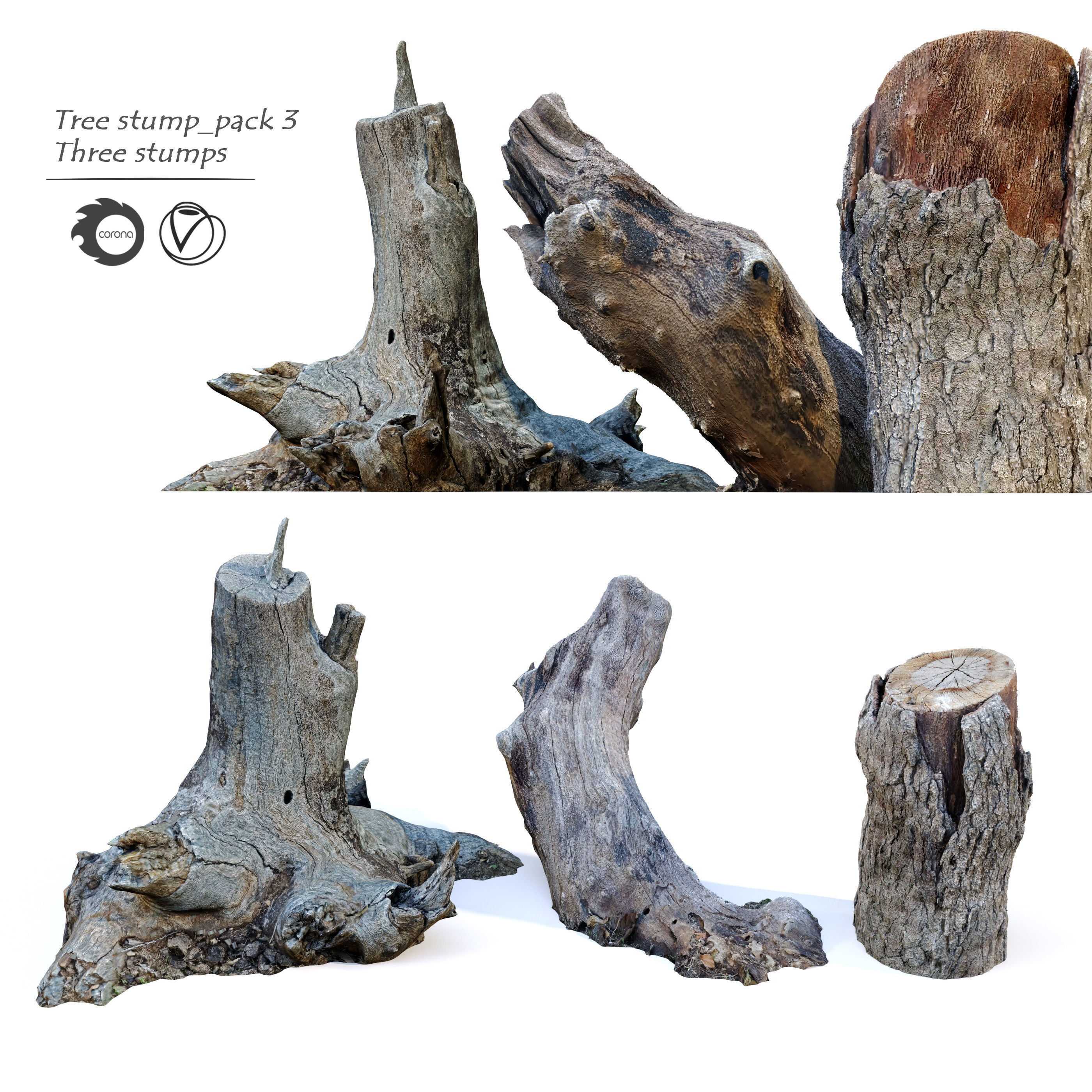 Tree Stump Pack 3 3D model CGTrader