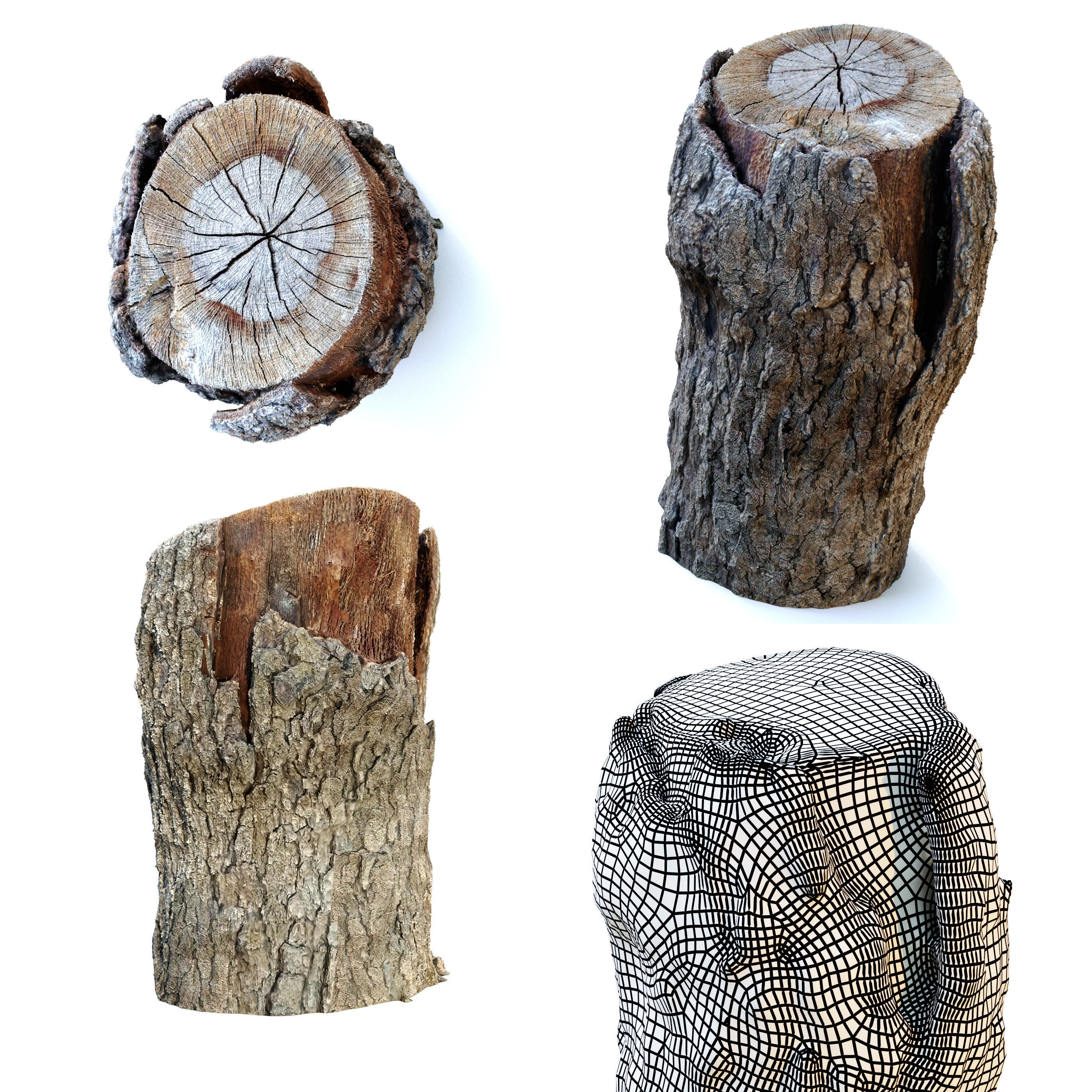 Tree Stump Pack 3 3D model CGTrader