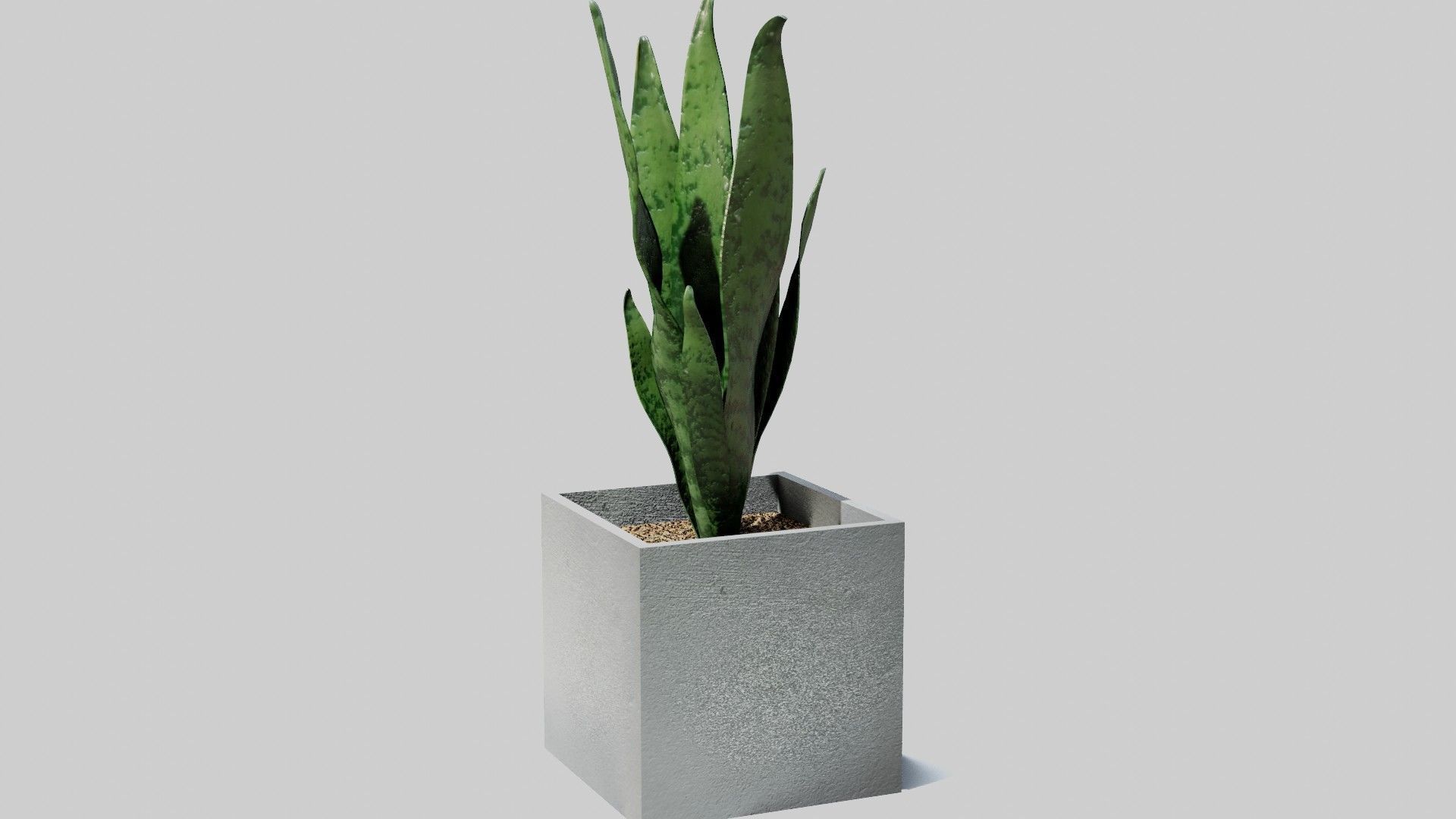 pot plant free VR / AR / lowpoly 3D model CGTrader