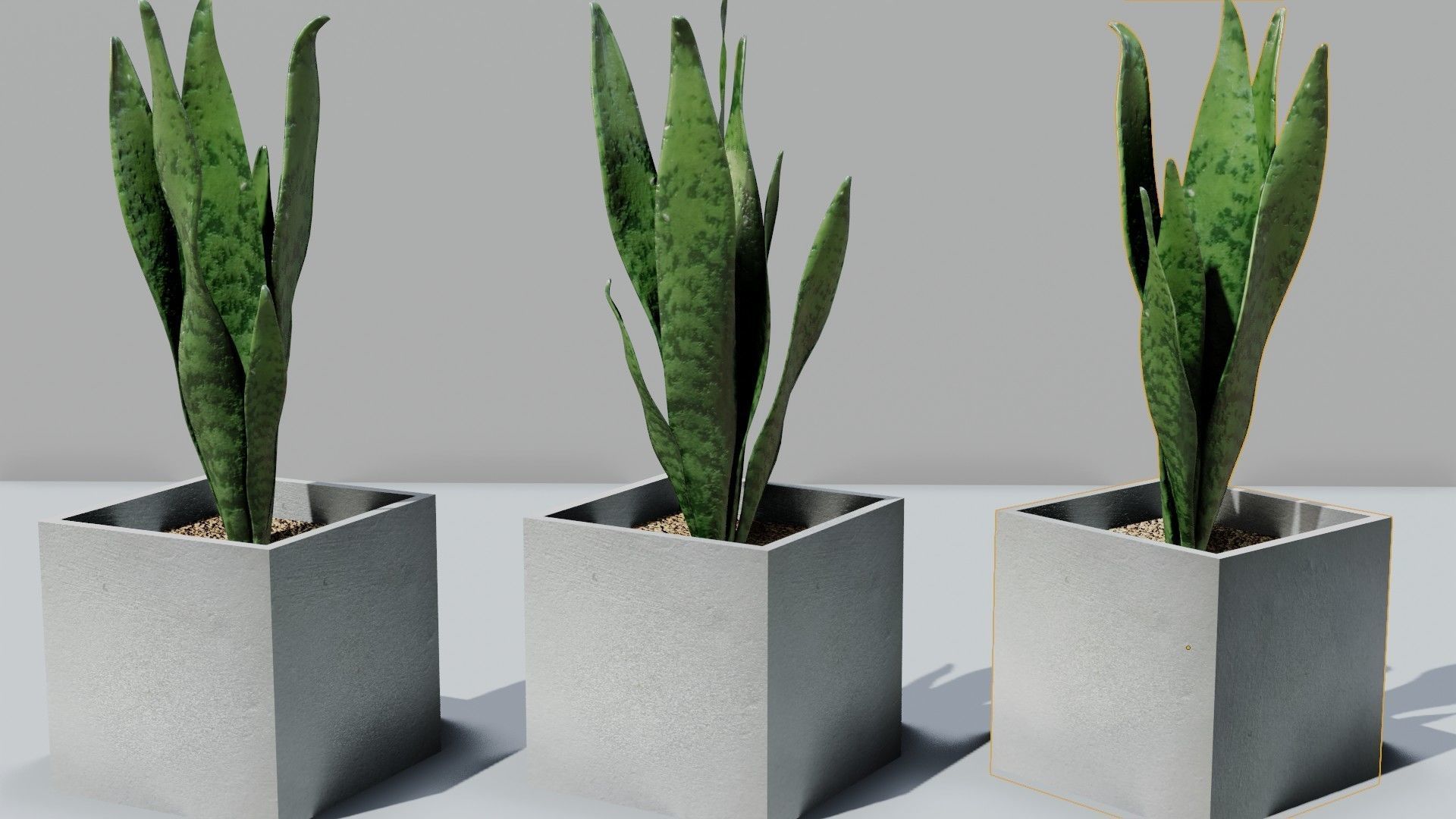 pot plant free VR / AR / lowpoly 3D model CGTrader