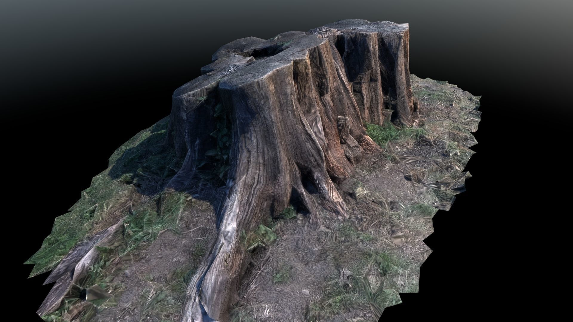 Tree Stump Modeling 3D model Tree Stumps - Pack of 2 VR / AR / low-poly | CGTrader