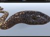 3D model Animated Calabar Python VR / AR / low-poly | CGTrader