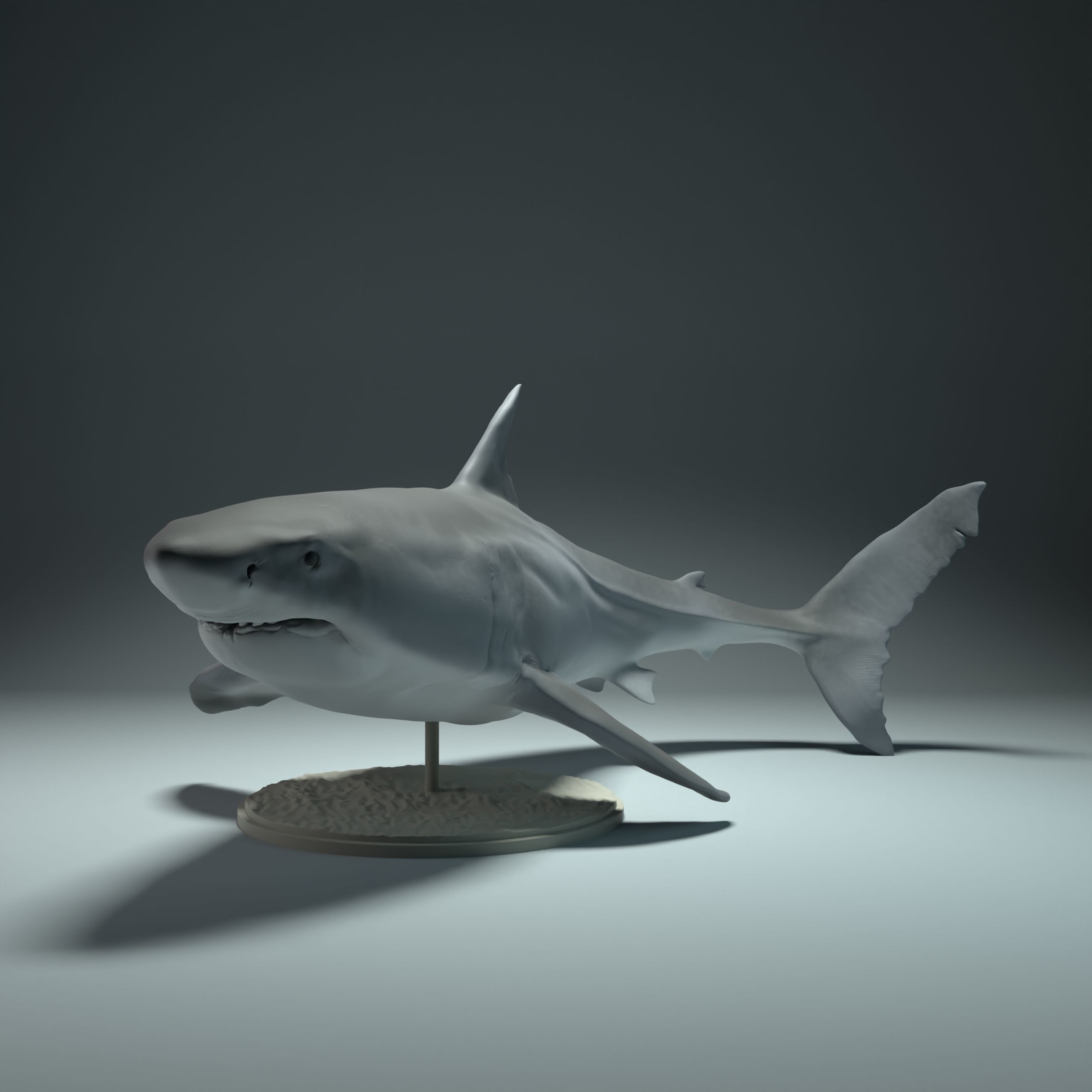 Great White Shark 3D model 3D printable CGTrader