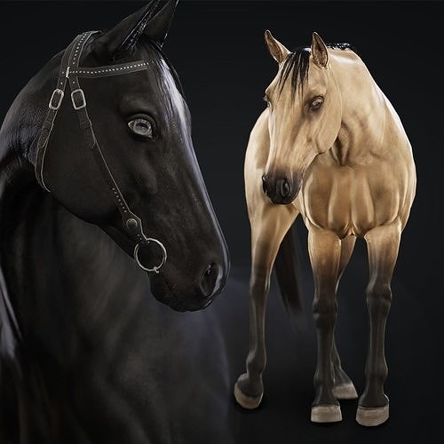 3D model Horse Herd Low poly animated gameready Horse and control