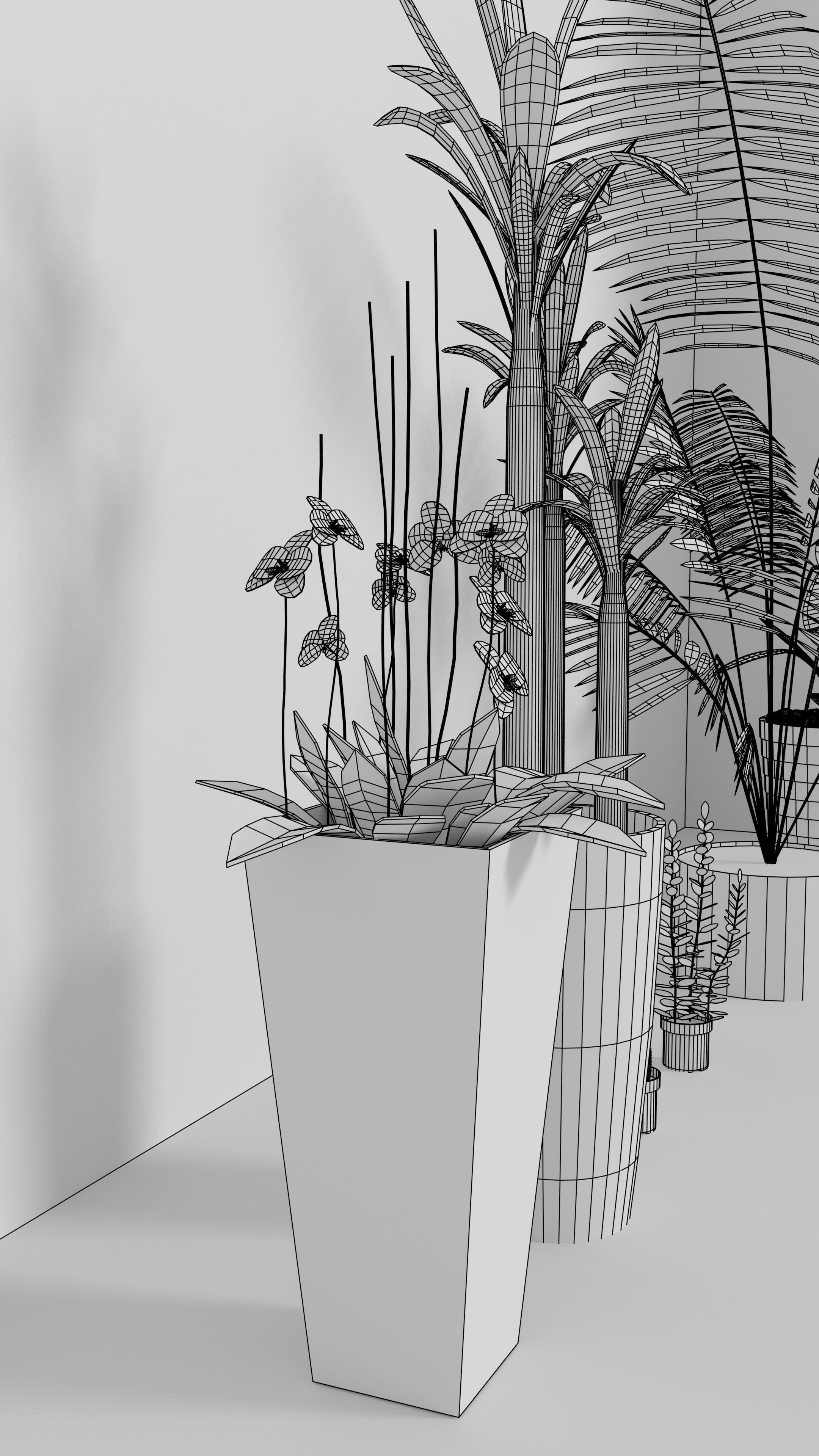 3D Models of plants 3D model CGTrader