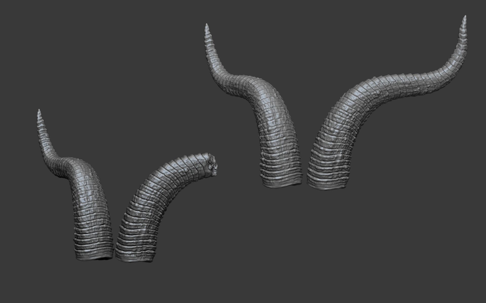 HORNS PACK volume 1 3D model CGTrader