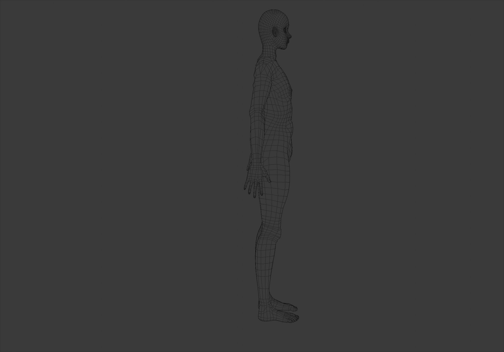 Basic Male Body 3D model CGTrader