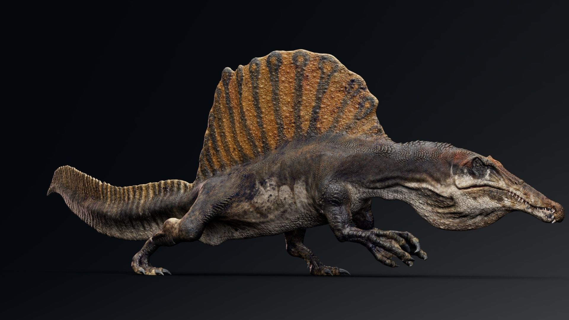 3D Model Spinosaurus 2020 Unreal Engine And Unity Projects VR AR 