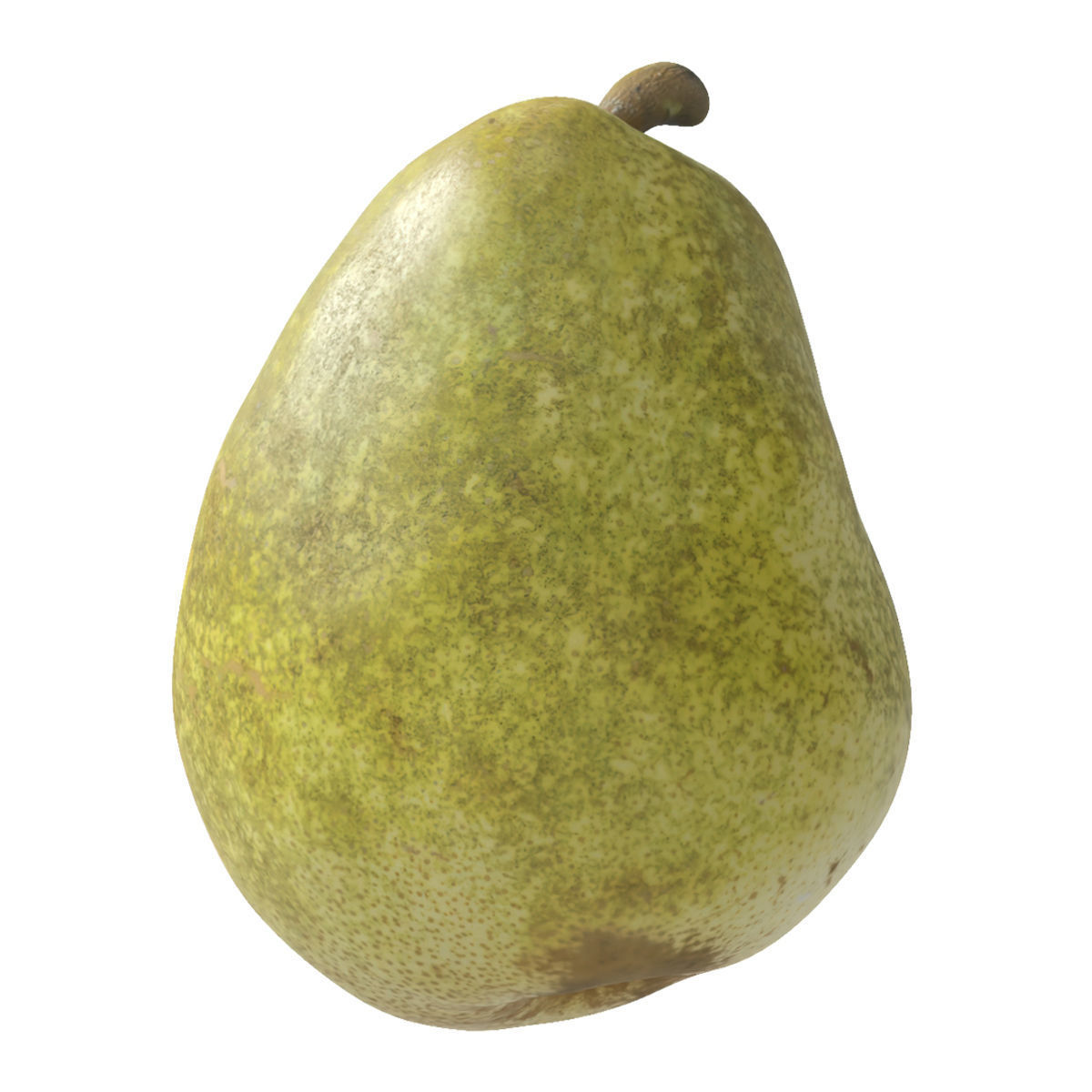 Kieffer Model Kieffer Pear 3D model | CGTrader