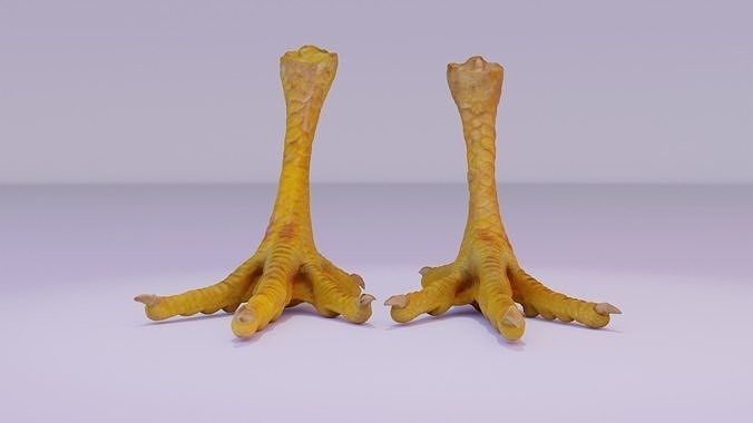 Pair chicken feet high-poly 3D model | CGTrader