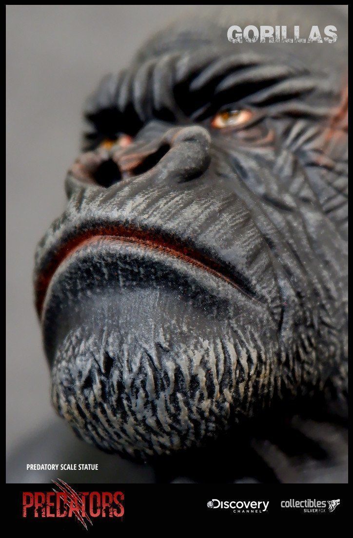 Silverback Gorilla 3D Model 3D model 3D printable | CGTrader