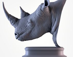 Rhinoceros 3D Models | CGTrader