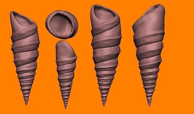 Sea Shells pack 01 3D Printable Models 3D model 3D printable | CGTrader