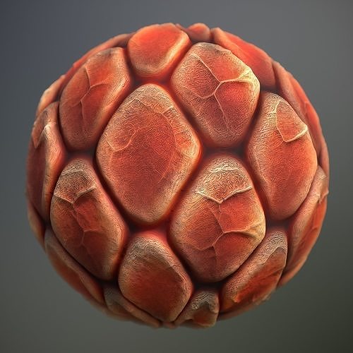 Material Skin Alien 18 Seamless PBR Texture Texture | CGTrader