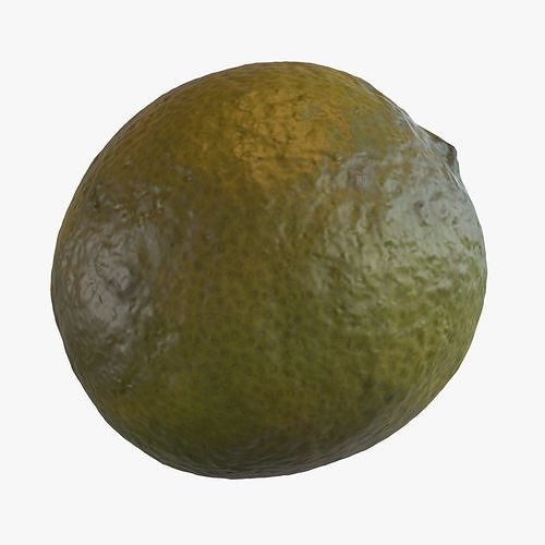 3D model Lime Photoscan VR / AR / low-poly | CGTrader