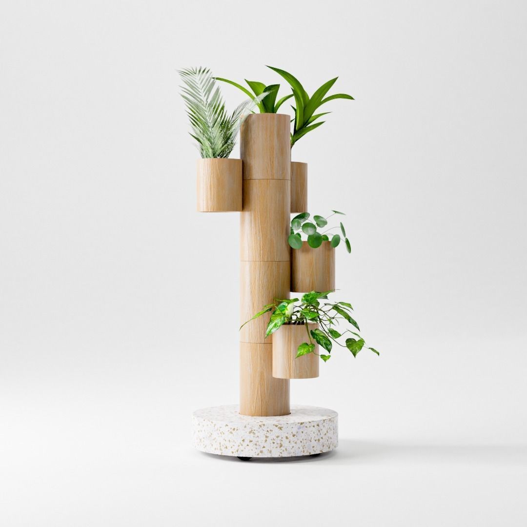 Plant Bamboo Rack 3D model rigged | CGTrader