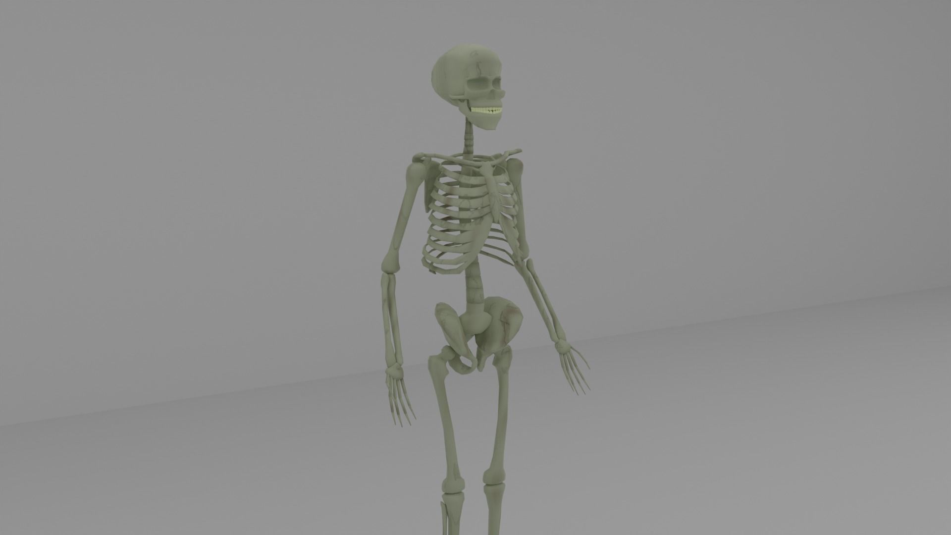 Human Skeleton for Blender 3D model | CGTrader