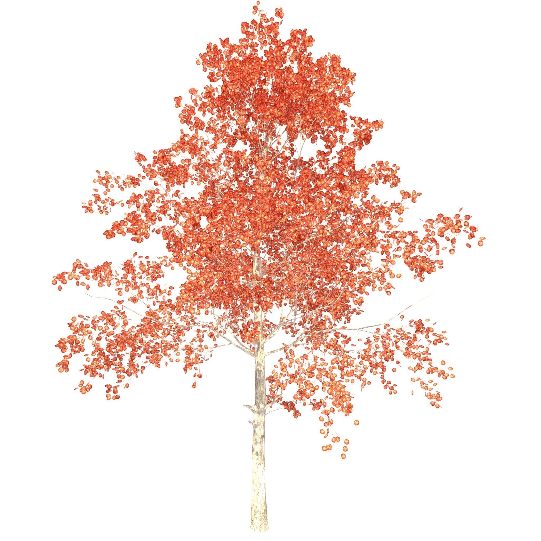 House of Flowers Asset Bundle 3D model animated CGTrader