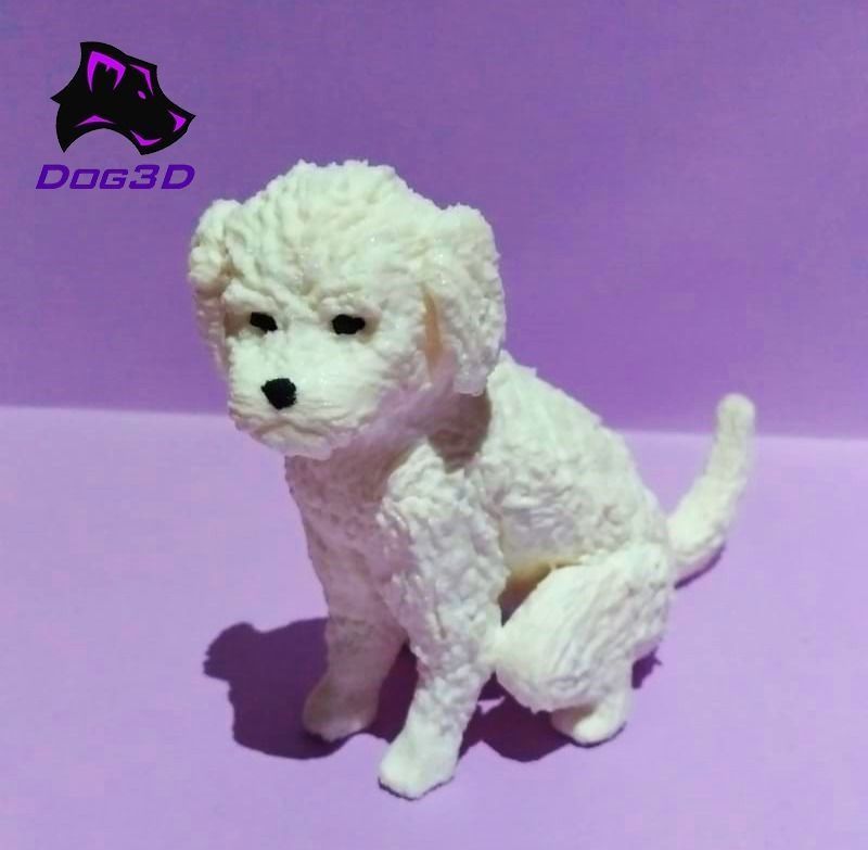 Maltese dog - 3D printable 3D model 3D printable | CGTrader