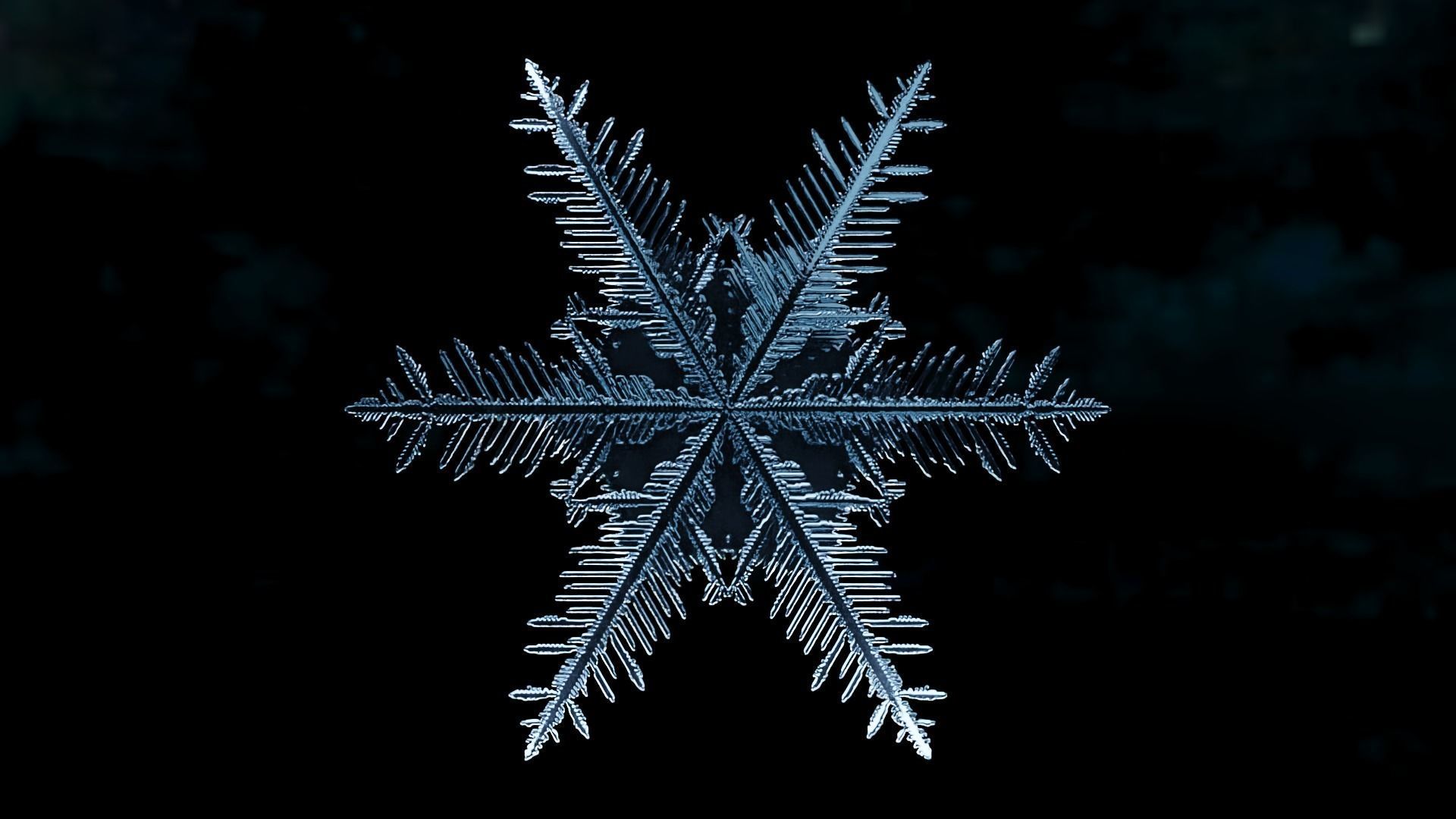 Snowflake 02 growing animation with blender file 3D model animated ...