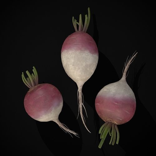 3D model Purple Top White Globe Turnips VR / AR / lowpoly CGTrader