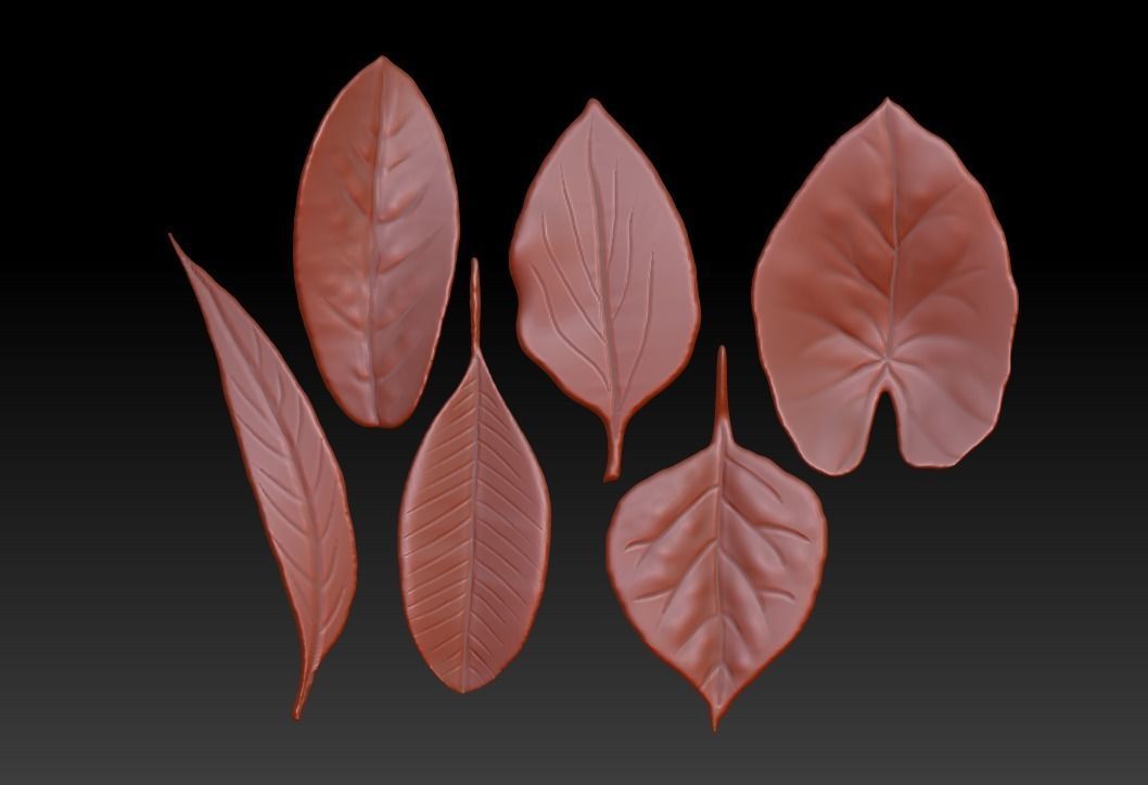 ZB leaf brush 3D printing leaf STL ZBrush leaf brush 3D model 3D ...