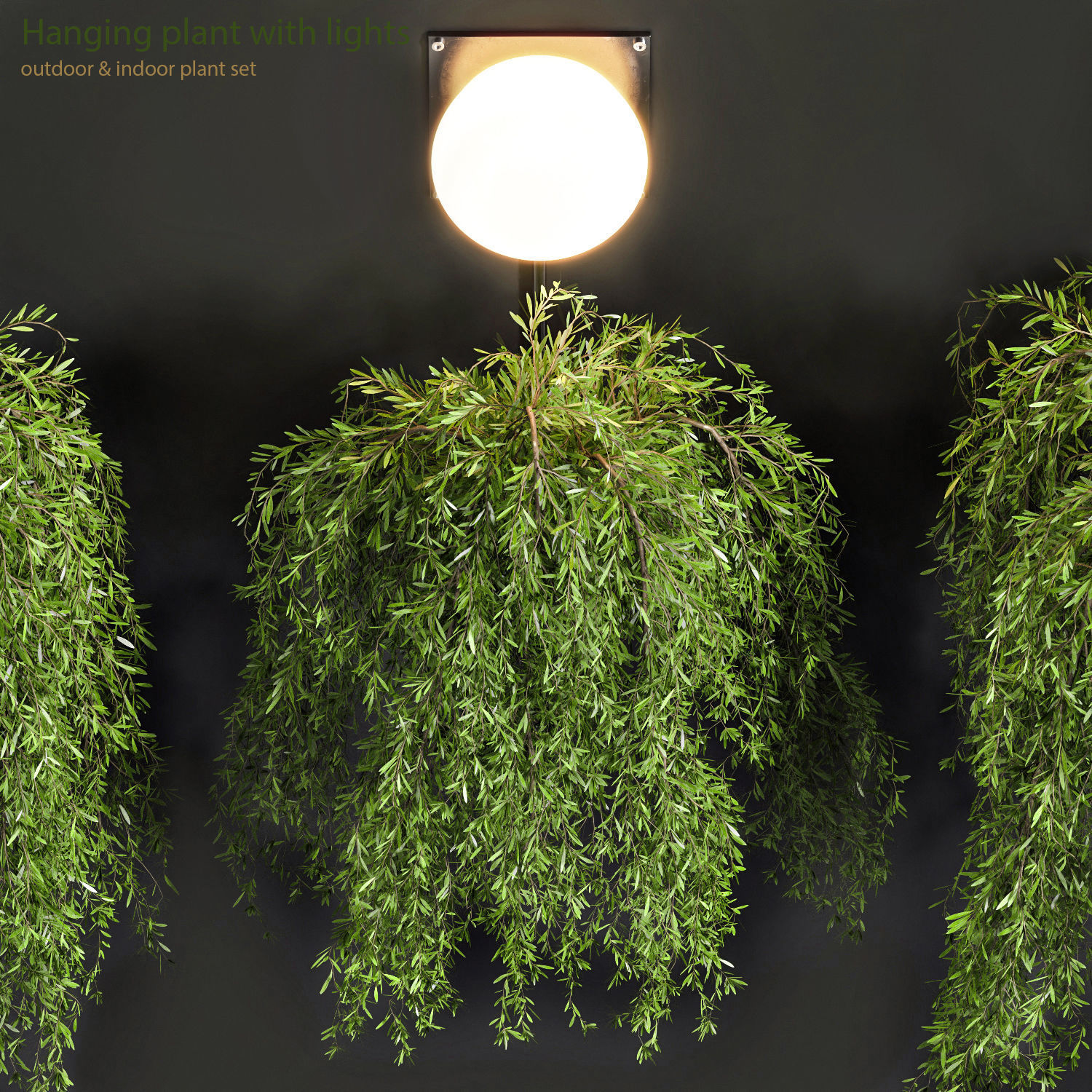 Hanging plant with lights 3D model CGTrader