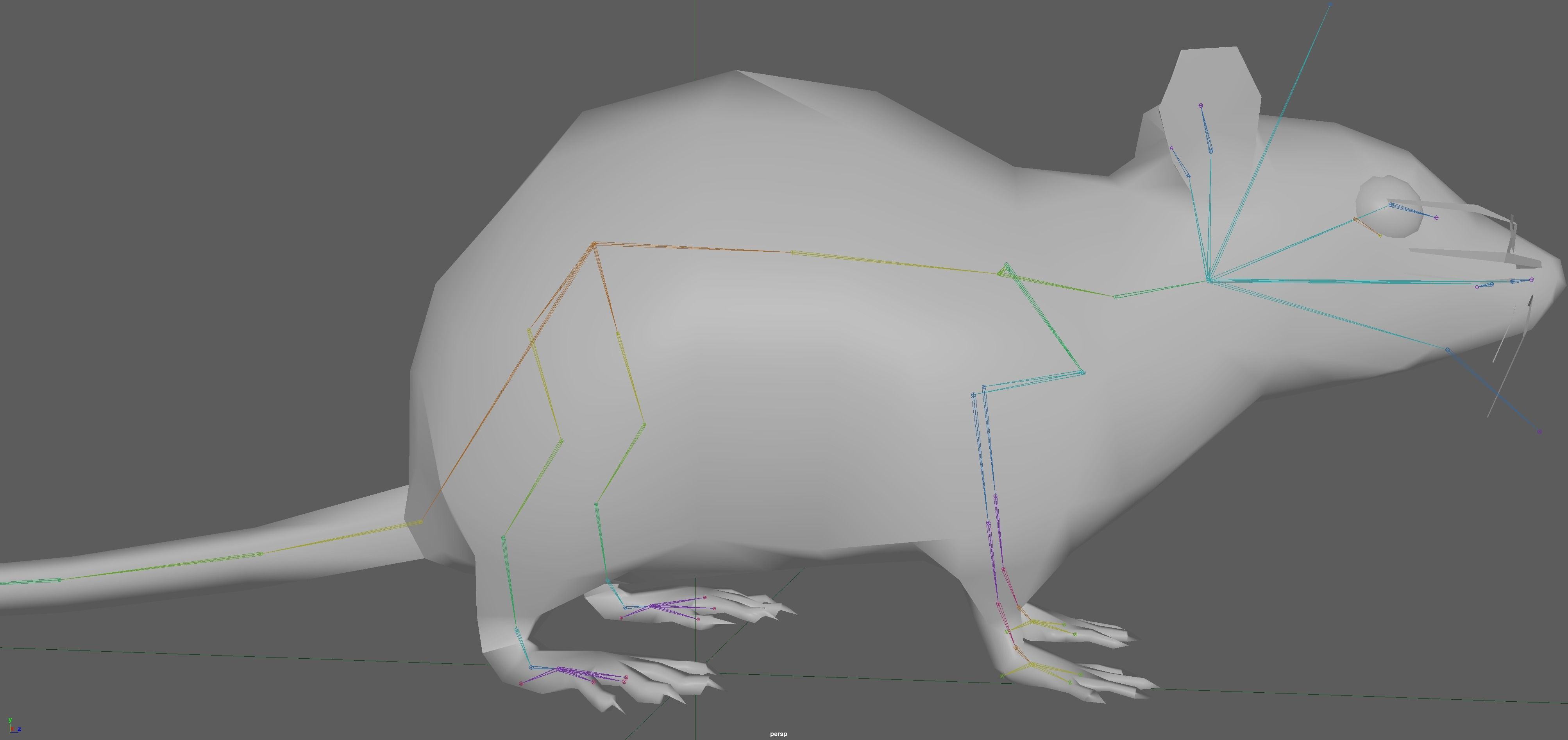 3D model Rat Rig VR / AR / low-poly | CGTrader