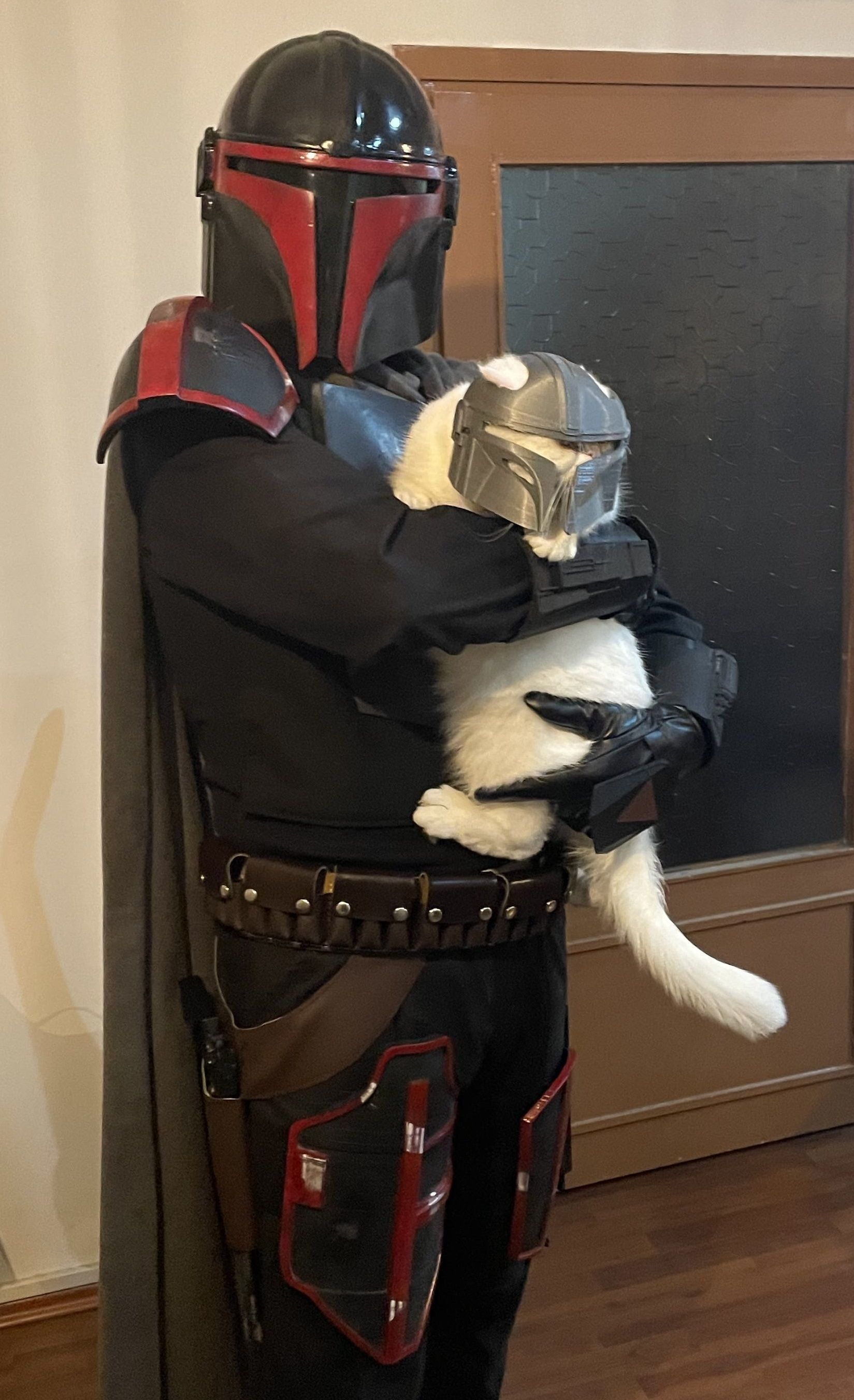 Mandalorian Cat Helmet 3D model 3D printable CGTrader