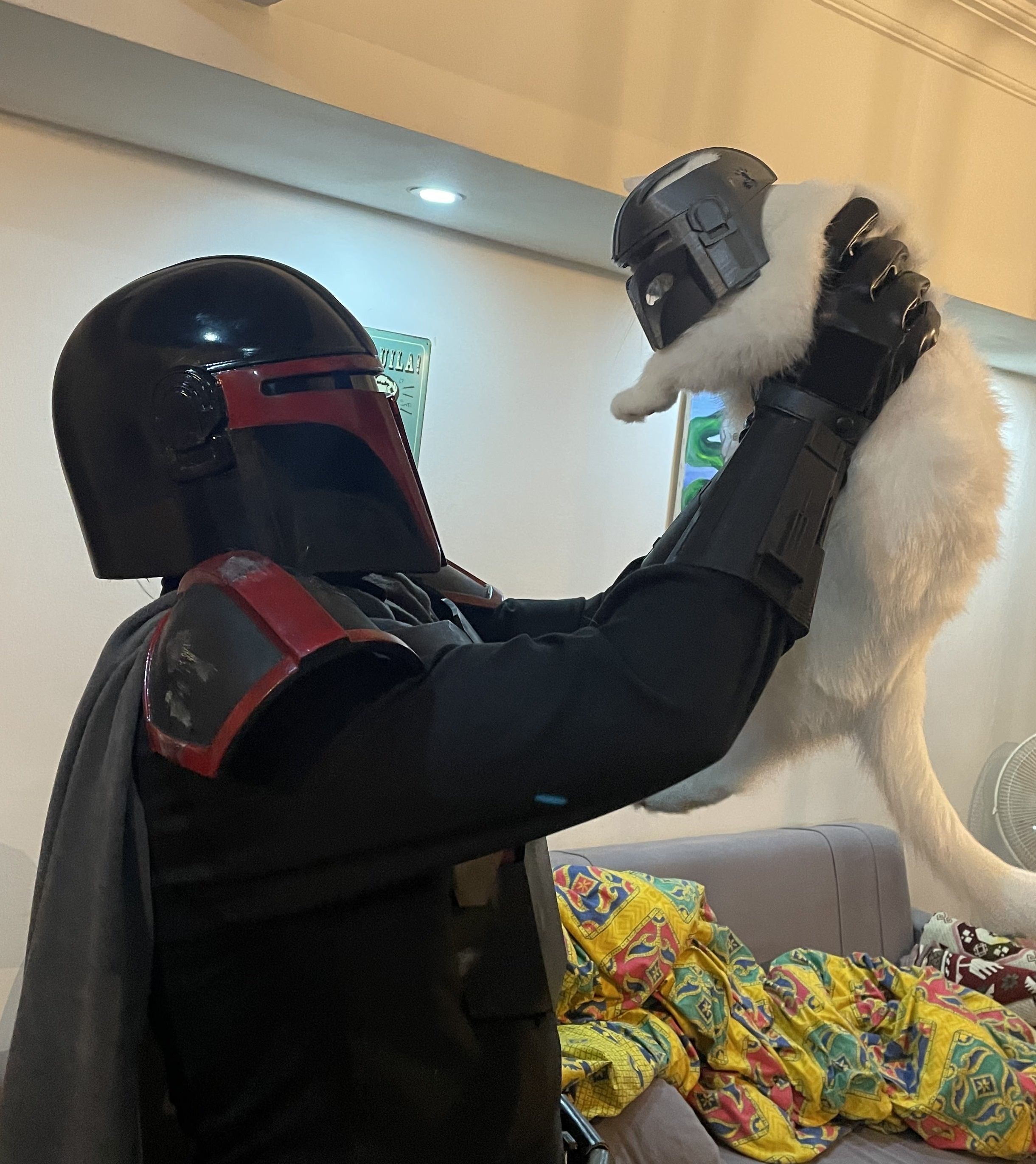 Mandalorian Cat Helmet 3D model 3D printable CGTrader