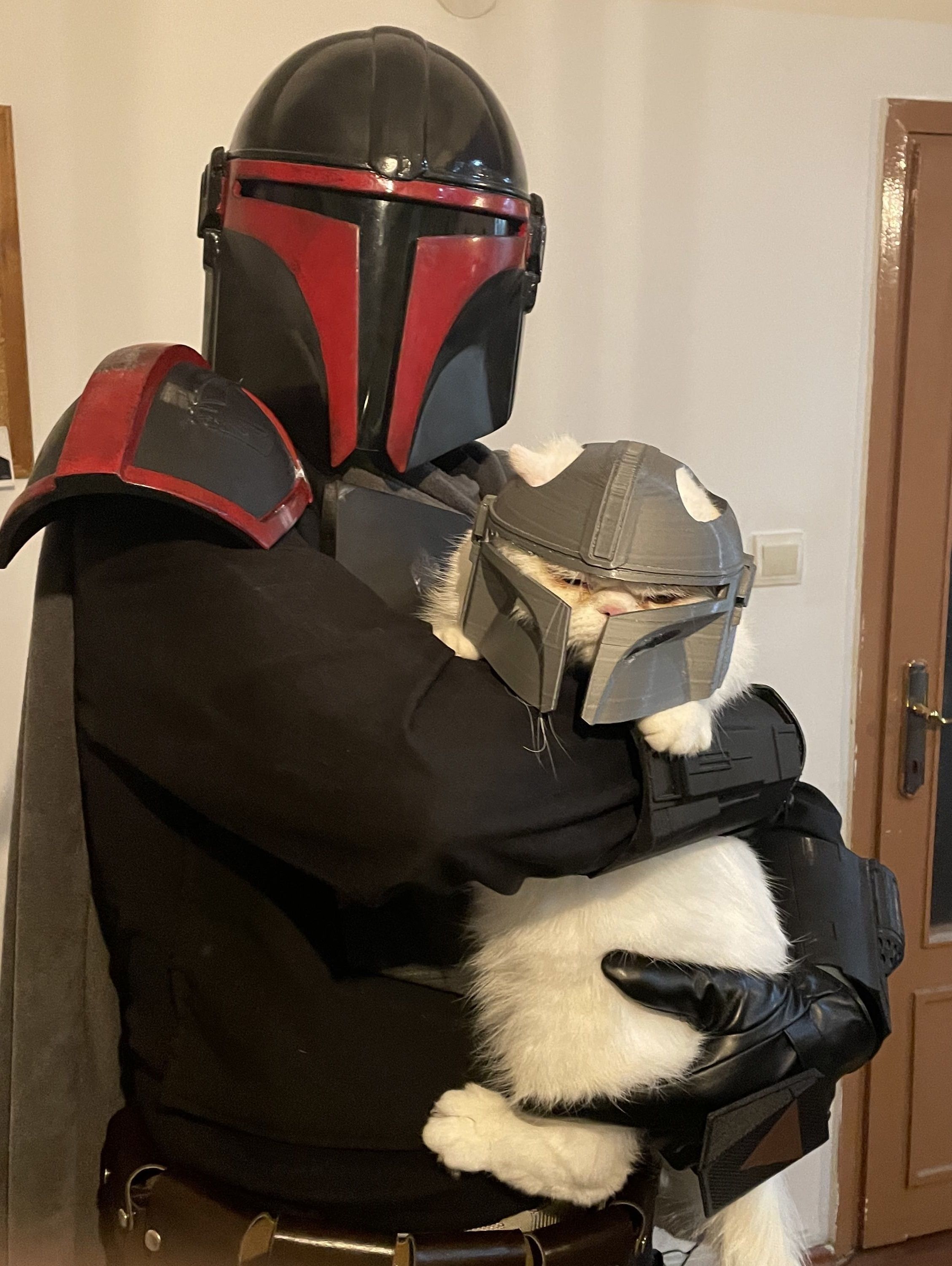 Mandalorian Cat Helmet 3D model 3D printable CGTrader