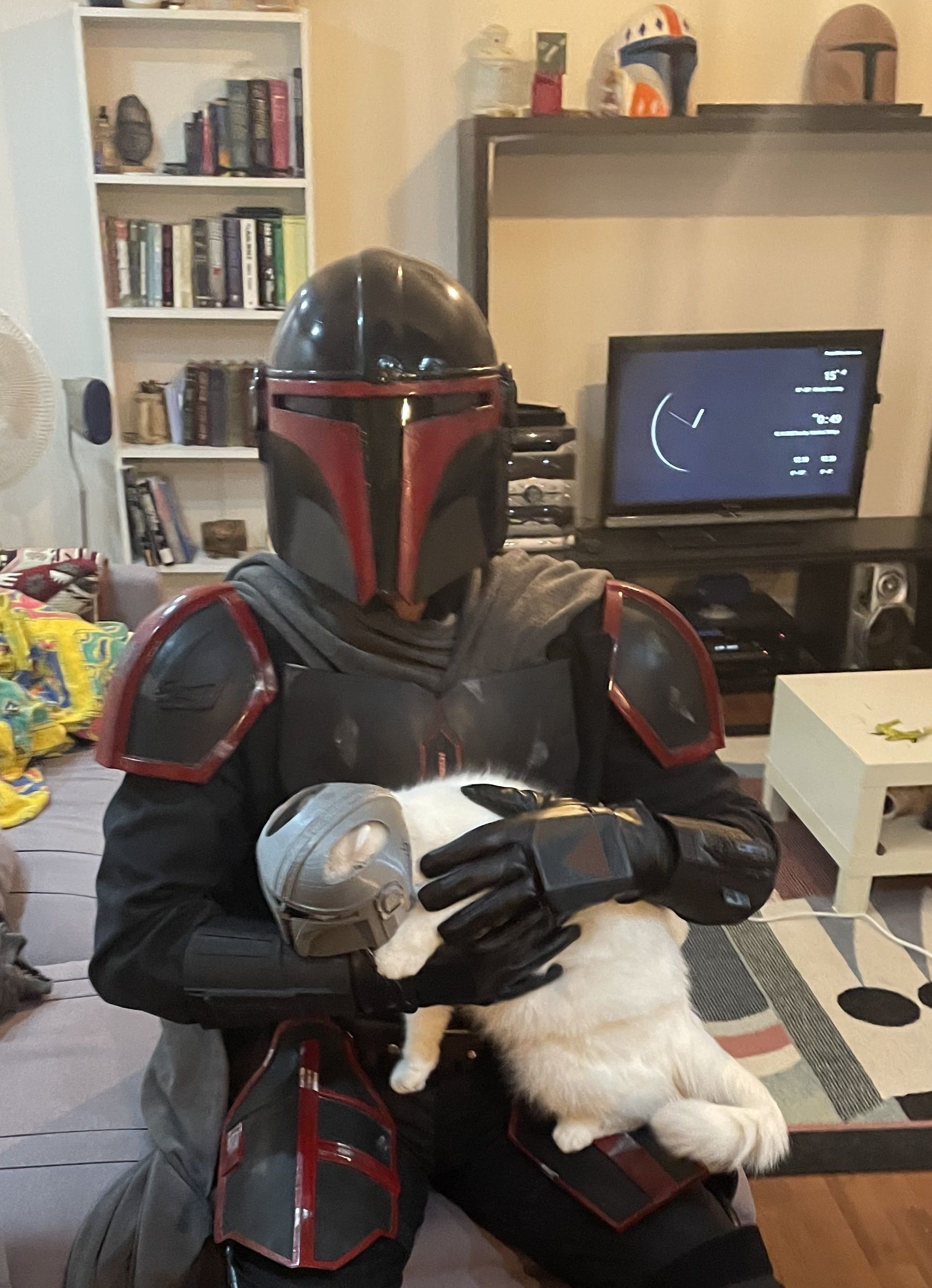Mandalorian Cat Helmet 3D model 3D printable CGTrader
