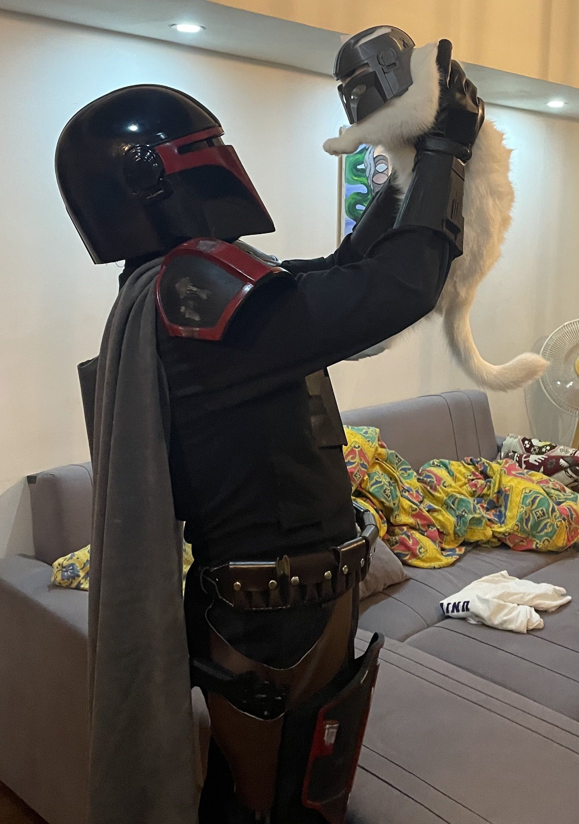 Mandalorian Cat Helmet 3D model 3D printable CGTrader