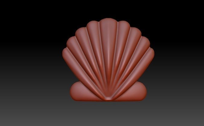 shell 3D model 3D printable | CGTrader
