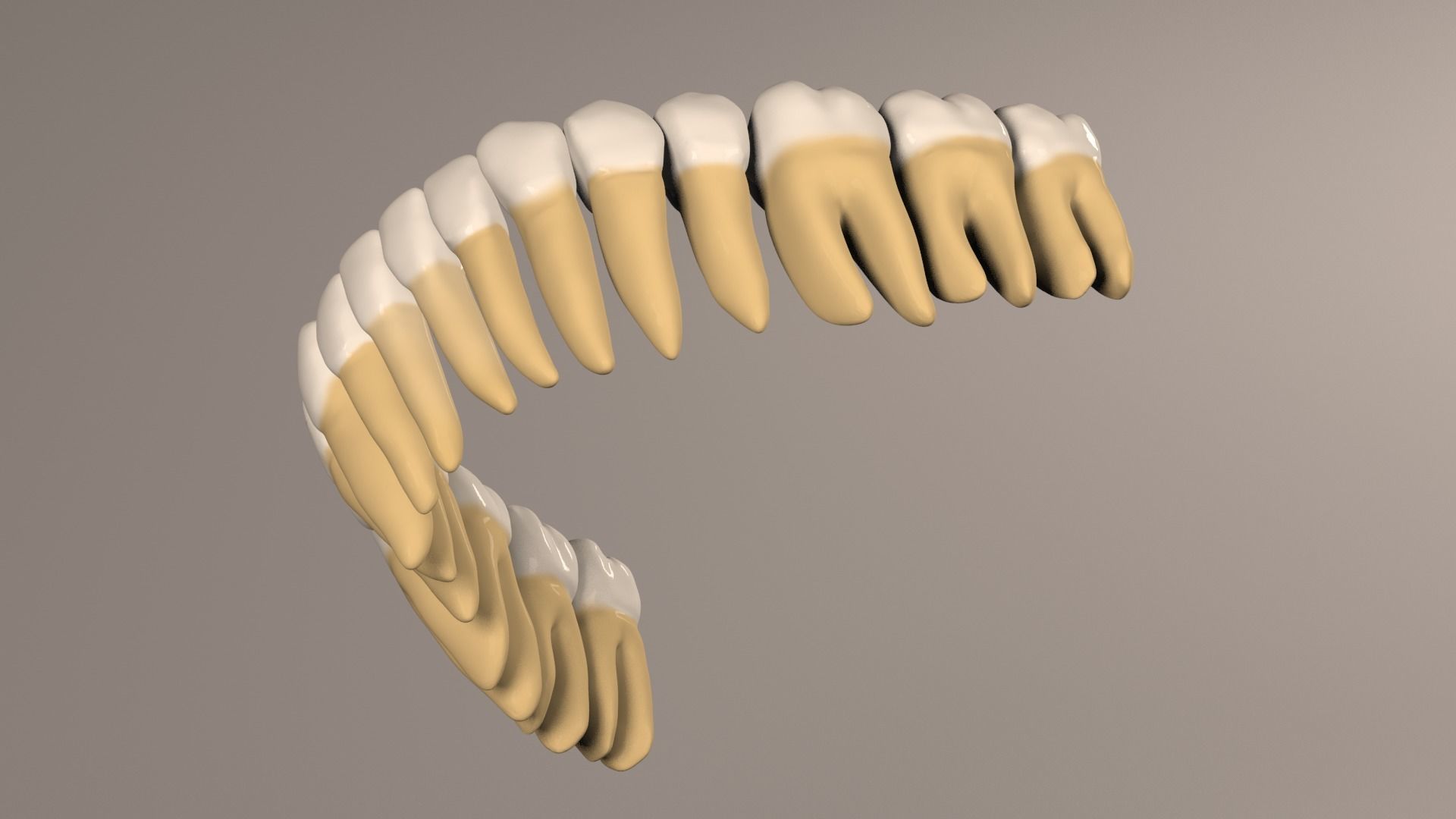 3D model Lower Jaw with Lower Teeth model VR / AR / low-poly | CGTrader