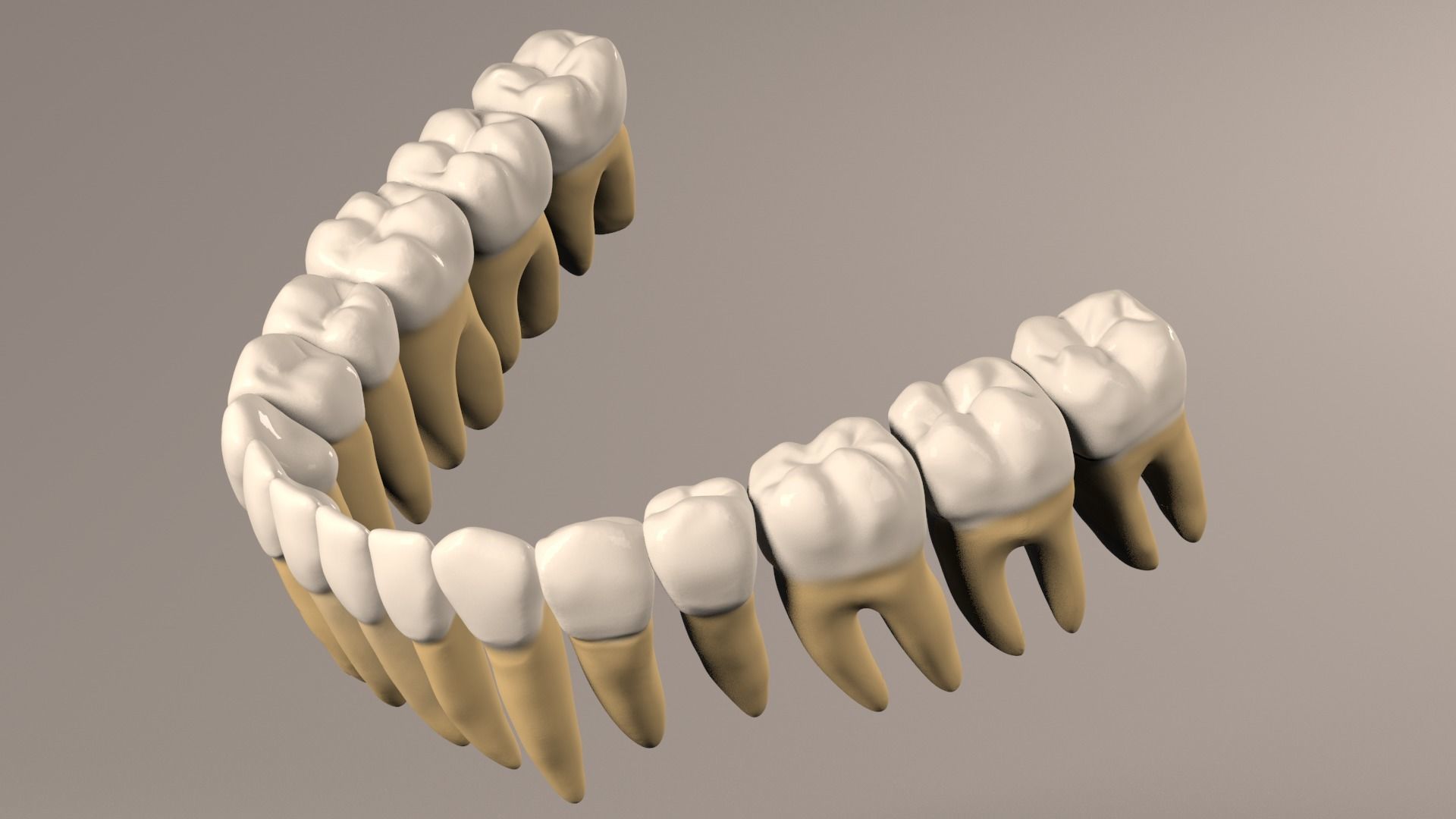 3D model Lower Jaw with Lower Teeth model VR / AR / low-poly | CGTrader