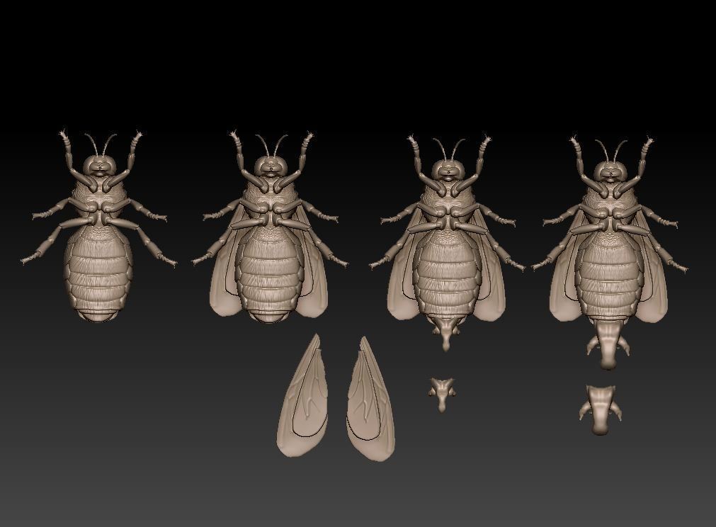Drone bee 3D model 3D printable | CGTrader