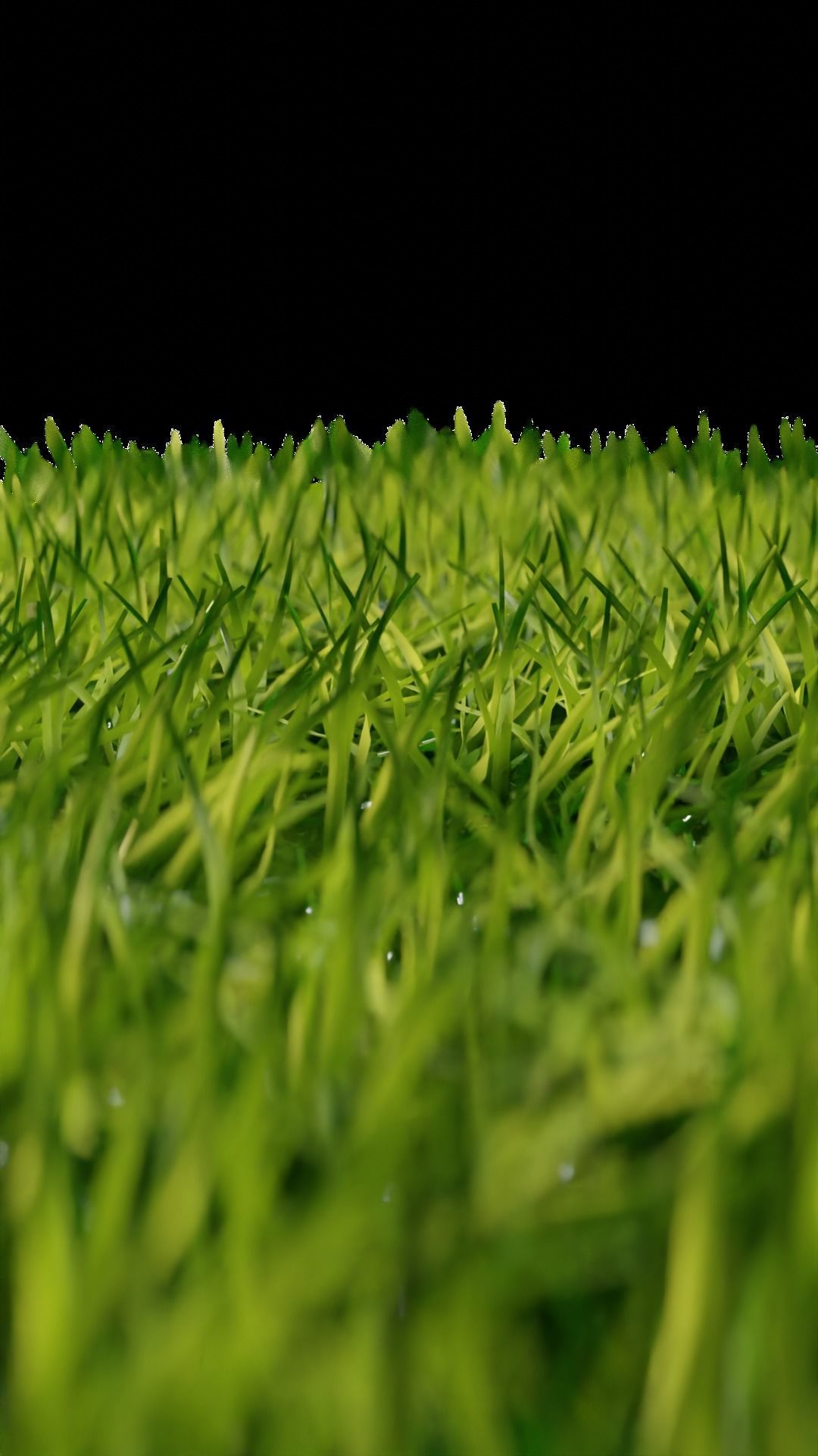 3D model Grass Geometry Node in Blender VR / AR / lowpoly CGTrader