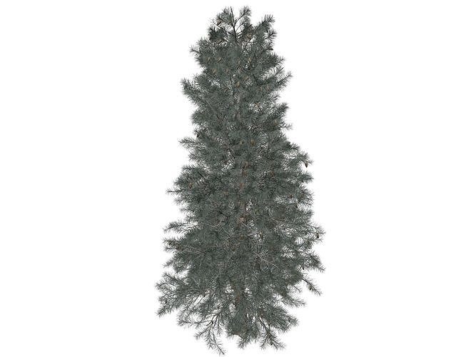 Alberi Di Abete Modellismo Noch - Set 5 Pezzi 5-9 Cm Scala H0/TT