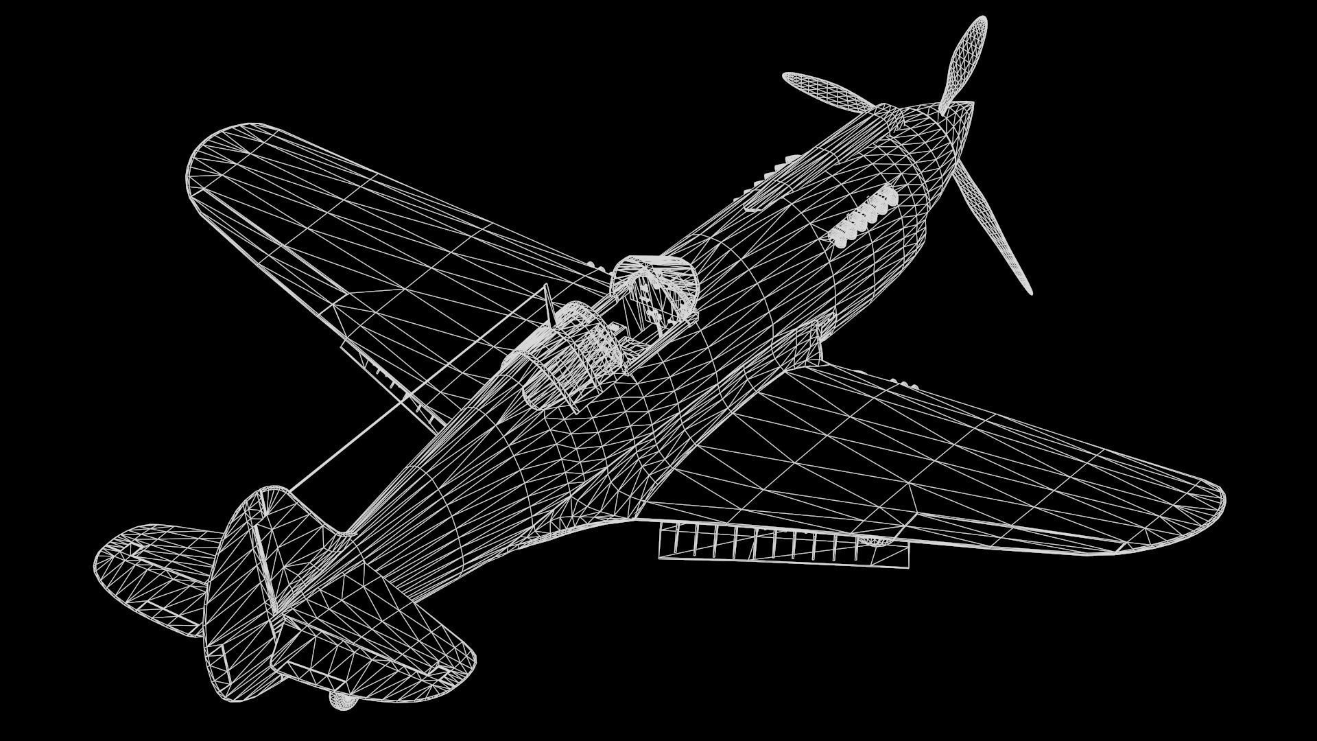 P40 WARHAWK 3D model | CGTrader