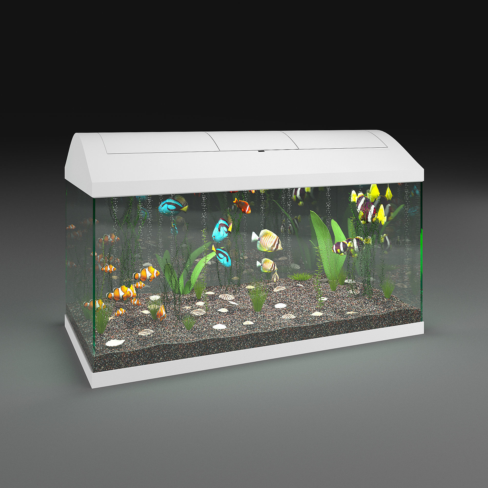 Aquarium fish tank 3D model CGTrader