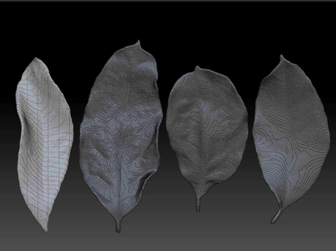 ZBrush Leaf Brush leaf foliage leafage 3D printing leaves 3D model 3D