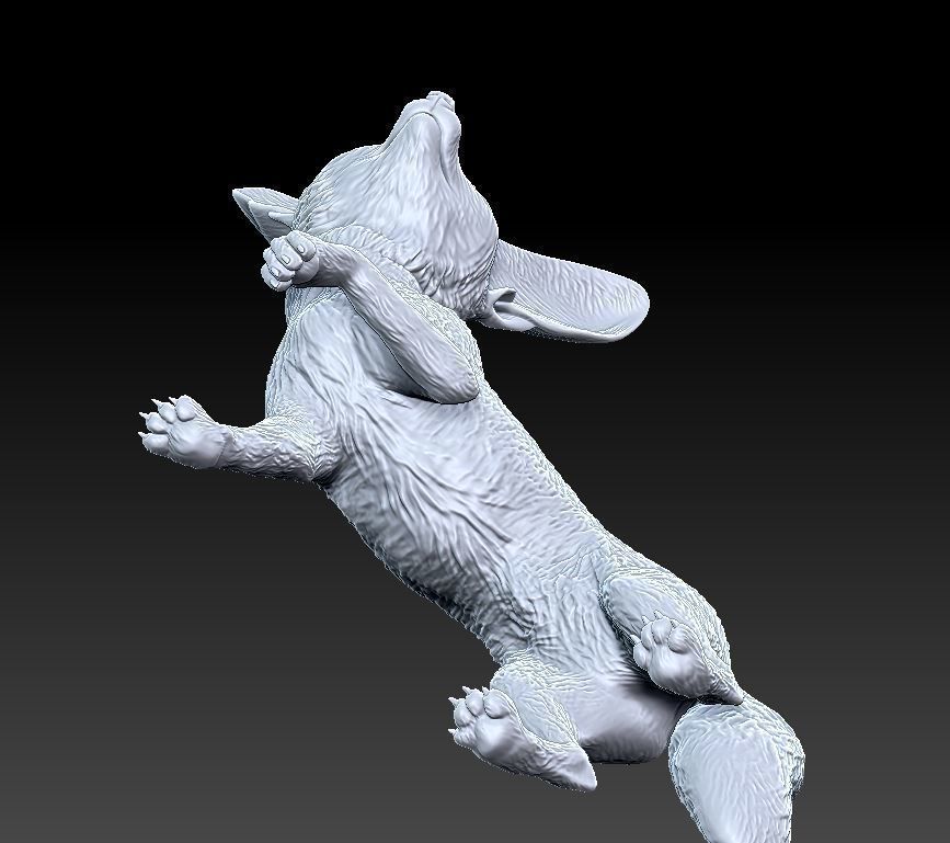 fennec fox 3D model 3D printable | CGTrader