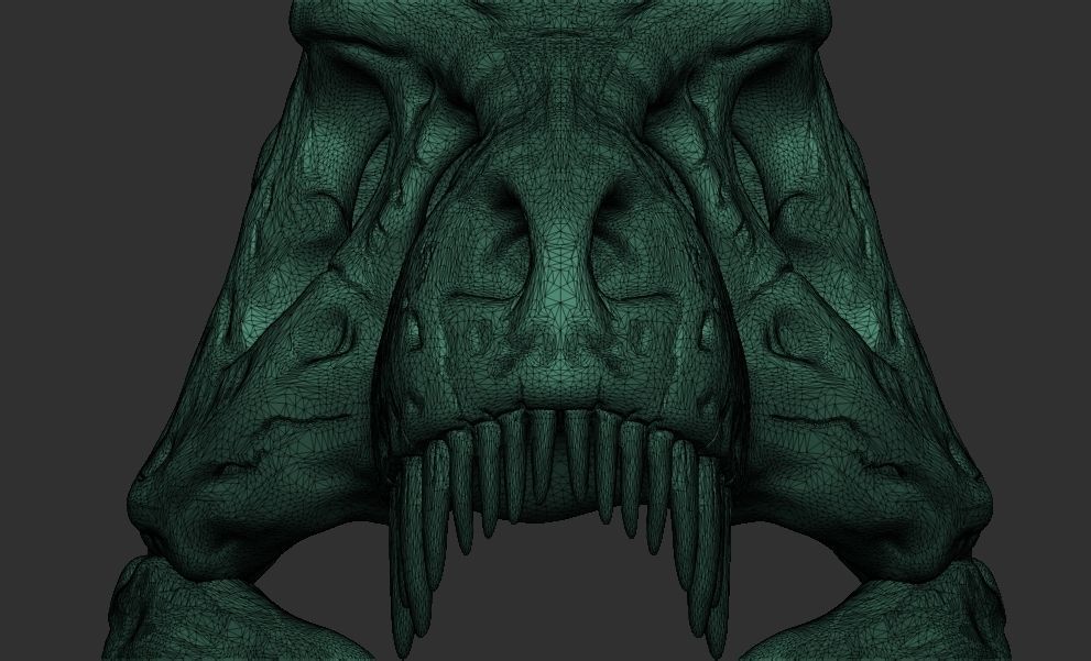 The T-Rex Skull 3D Printable model free 3D model 3D printable | CGTrader