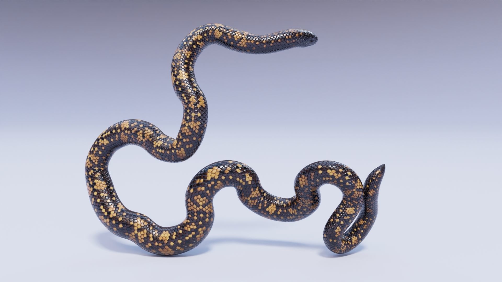 3D model Calabar Python - Static Poses VR / AR / low-poly | CGTrader