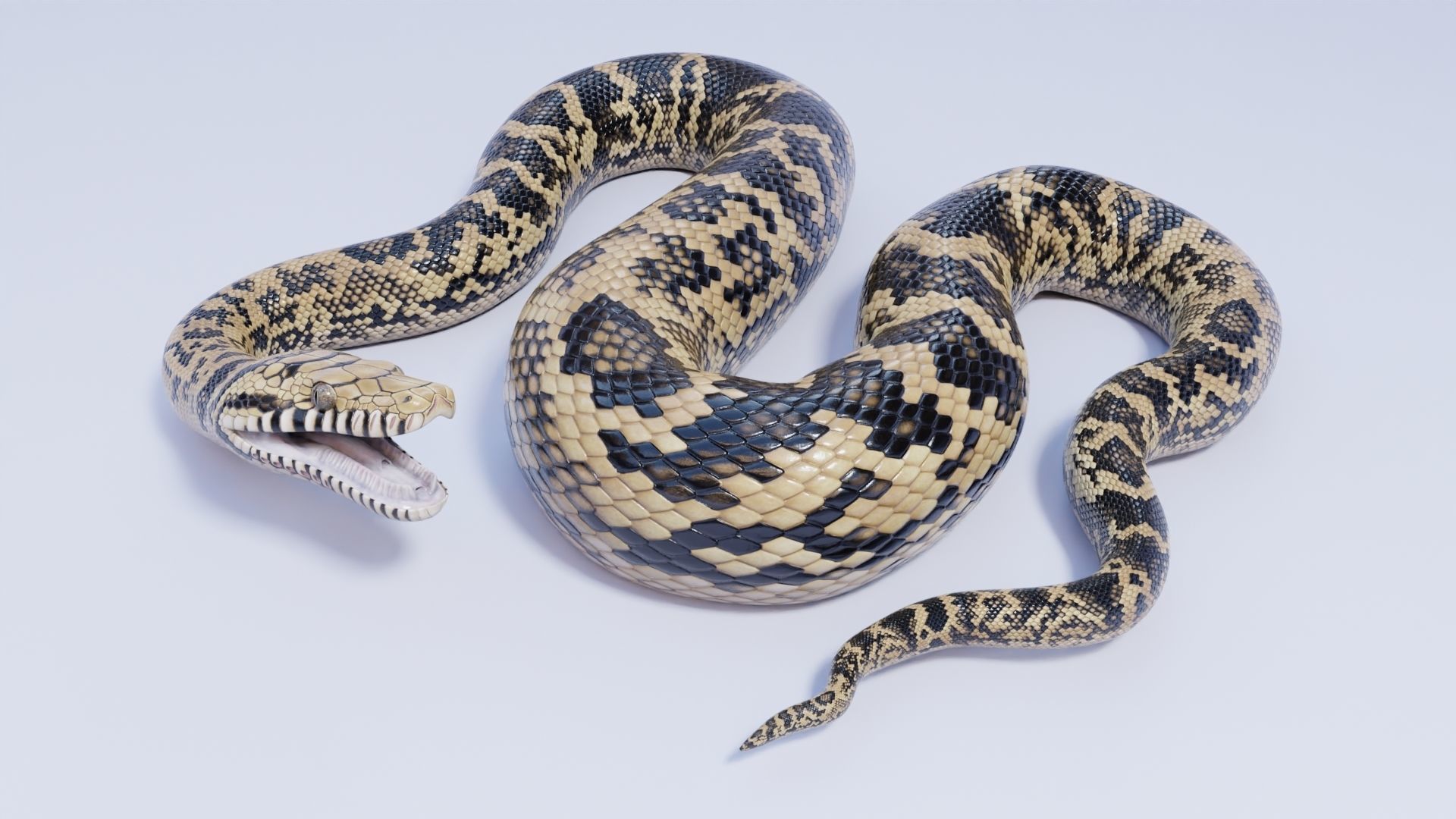 3D model Scrub Python - Static Poses VR / AR / low-poly | CGTrader