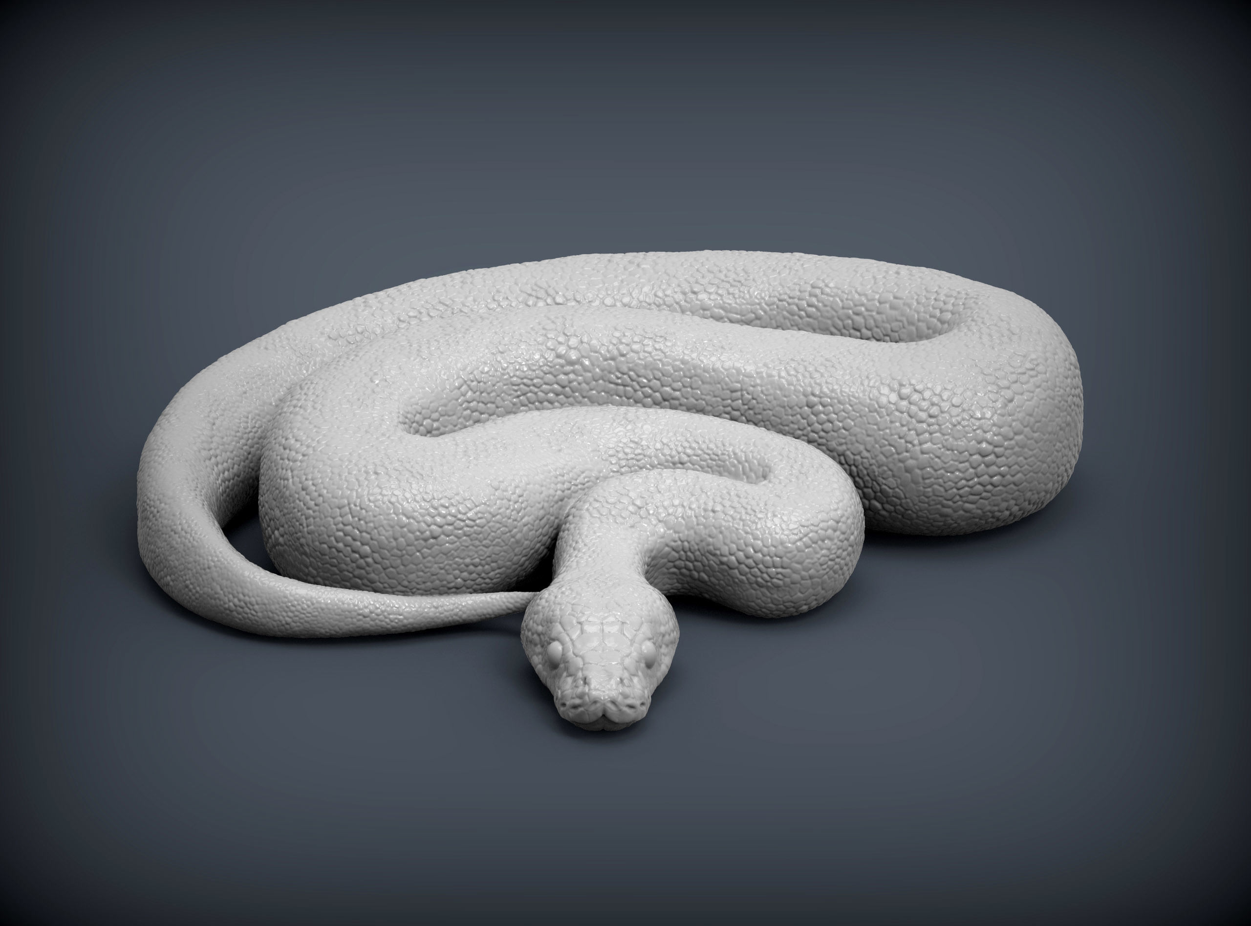 Ball Pythons 3D model 3D printable | CGTrader
