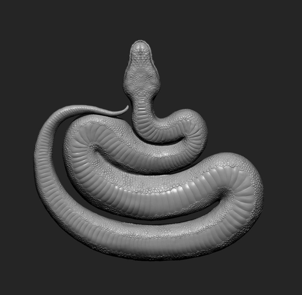 Ball Pythons 3D model 3D printable | CGTrader