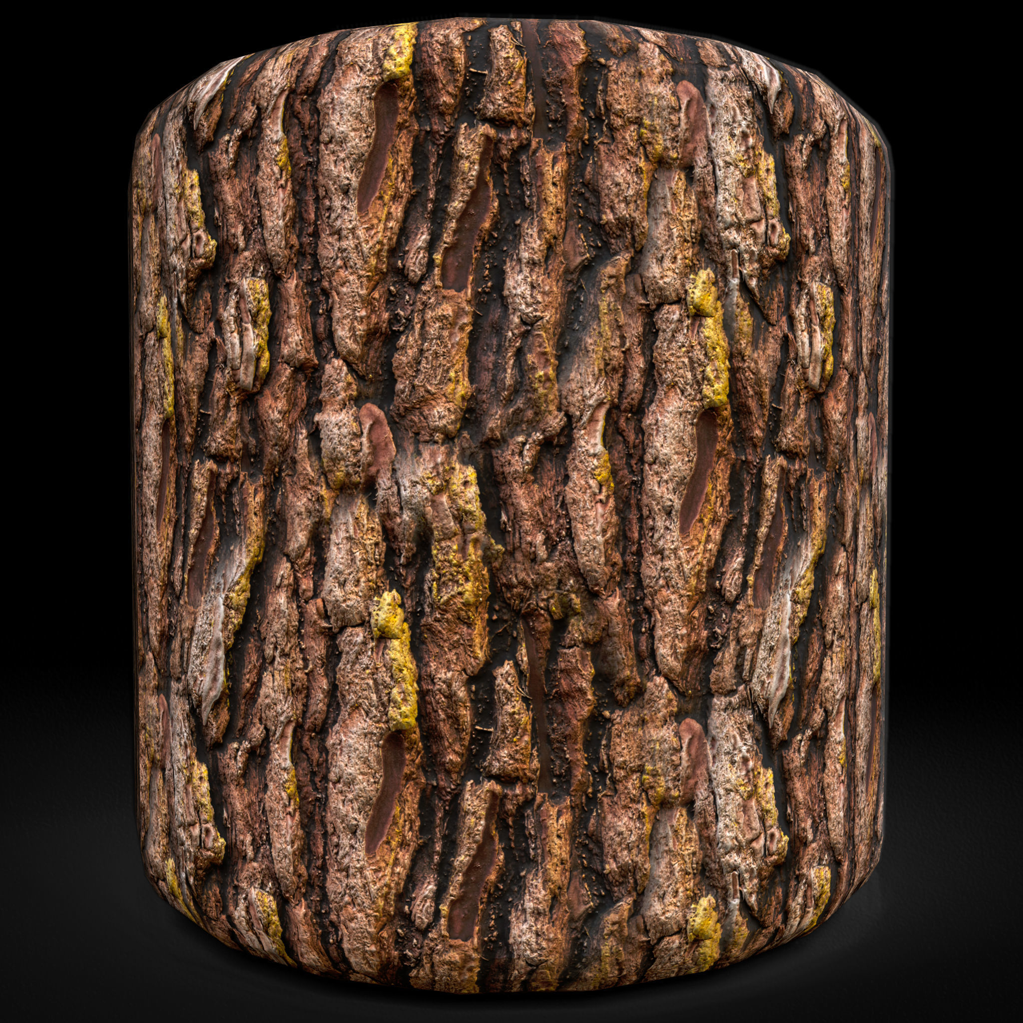 Texture Wood Bark Texture 4K Vol 2 VR / AR / low-poly | CGTrader